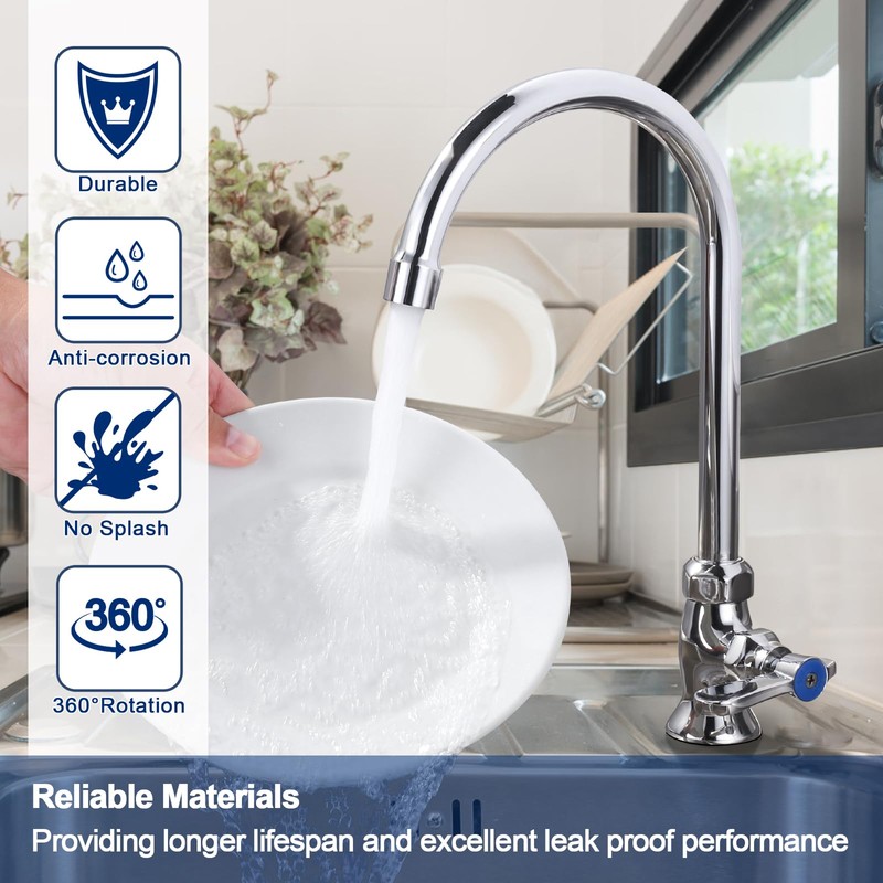 iVIGA Single Hole Cold Water Faucet: Deck Mount Kitchen Cold