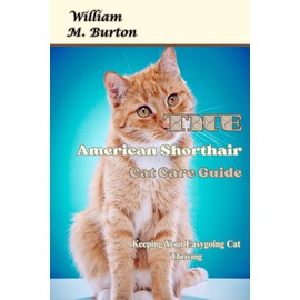  The American Shorthair Cat Care Guide: Keeping Your Easygoing Cat Thriving