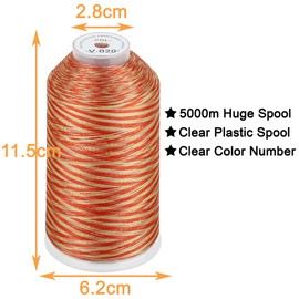 New Brothread - Bobina enorme individual de 5000 m, cada hilo de máquina de bordar de poliéster, 40 W para máquinas comerciales y domésticas, color abigarrado-V-020