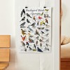 Where's Wildlife Backyard Birds of Georgia Bird Identification Poster (8"