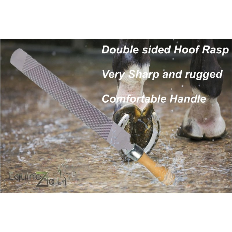 Equinez Tools Premium Farrier Hoof Rasp for Horse Hooves -