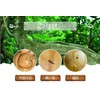 Buddha Statue, Sankai Buddha Kannon Statue, Dainichi Nyorai, Wooden Carving,