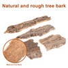 BESPORTBLE Cork Bark: 4Pcs Natural Bark Backdrop Reptile Cork Hideout