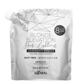 Caral Lightening Powder Decolorizer 500g / 카랄 라이트닝 파우더 탈색약 500g