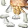 JOR 2 oz Hermit Crab Rocks, Natural Calcium Stones for