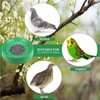 CiCixixi Set of 3 drawer bowls, nesting bowls for pigeons,