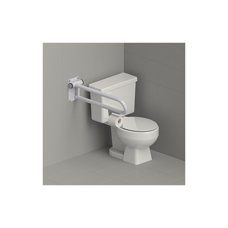 HealthCraft Products Toilet Roll Holder: P.T. Rail Toilet Roll Holder