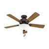 Hunter Fan Company, 44 inch ceiling fan with light, Swanson