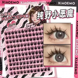 Soft & Cute Puppy-Eye Style 3-Part Single Cluster Individual Eyelashes - Clear Natural Feel One Size / Soo Yu Ji 10 Rows 10ea