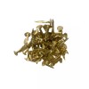 Brass Plated Steel Trunk Tacks 3/4" Long 2 OZ Pack