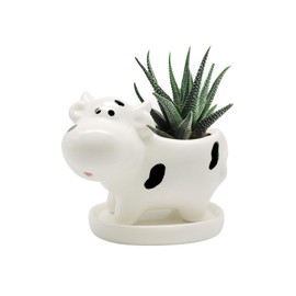 DIYOMR Cute Animal Planter Cow Dog Shaped Funny Small Succulent Pot White Ceramic Plant Pot with Tray for Mini Plants Flowers Cactus, Smooth Ceramic - Plants Not Included (Cow)