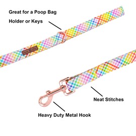 Lionet Paws Dog Leash and Matching Collar for Small, Medium, Large Dogs