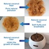 Long Coconut Husk Fiber Mulch Silk for Orchids Clean Coconut