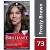 Schwarzkopf Brilliance Cool Browns 73 Frosty Brown