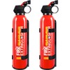 2 Pack Fire Extinguisher for Home with Wall Mount -