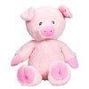 Cuddly Soft 16 inch Stuffed Pink Pig...We Stuff 'em...You Love
