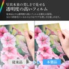 HAKUBA 4977187518788 ADP5-A4TBK Large Print Album V [A4 Size Vertical