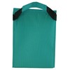 Ensign Peak Basic Lunch Sack (Teal)