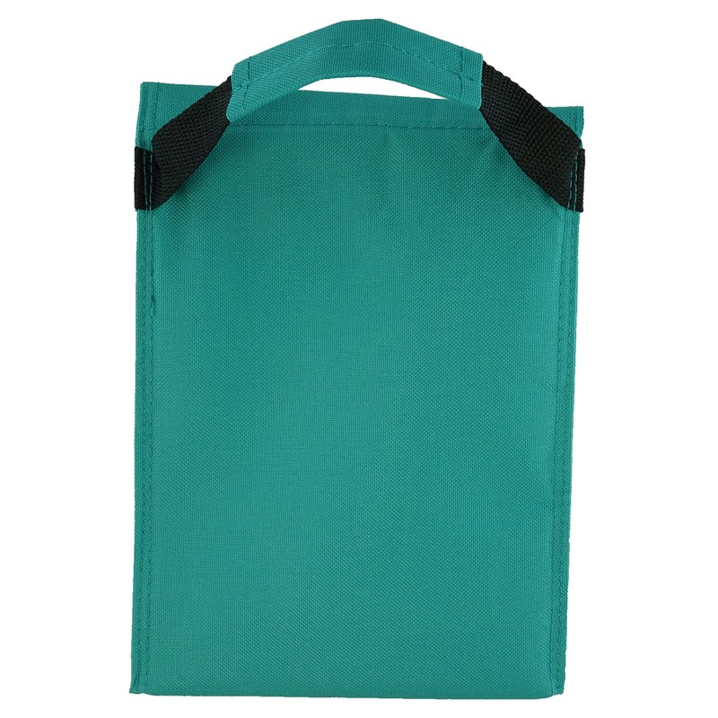 Ensign Peak Basic Lunch Sack (Teal)