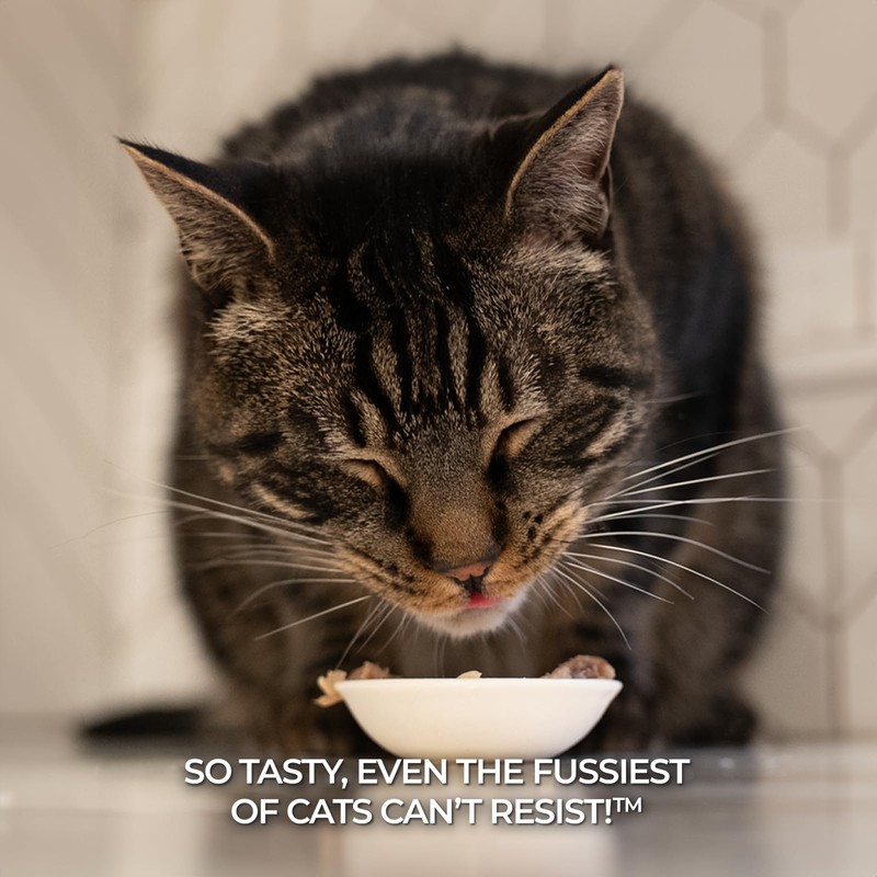Fussie Cat Premium Tuna with Chicken in Aspic Grain-Free Wet