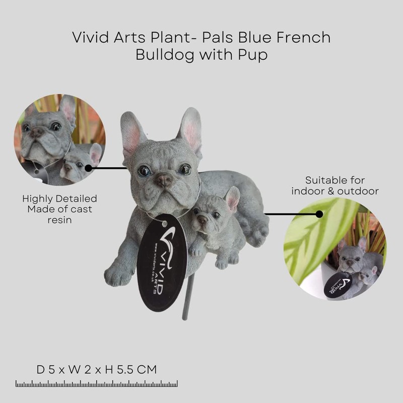 Vivid Arts Plant-Pals (Blue French Bulldog with Puppies)