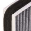 RIDEX Cabin Air Filter 424I0193 535 mm 245 mm 31