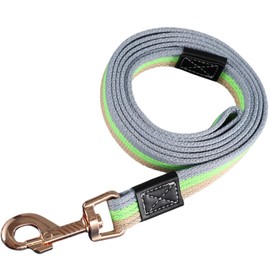 Brave Waka Dog Leash, Colorful Stripes, for Small, Medium, and Large Dogs, Lightweight, Cotton Material (2m x 2.0cm / Green)