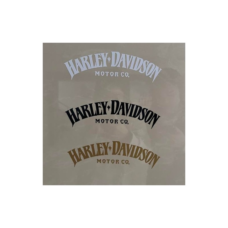 Motorcycle Classic Logo Harley Design Vinyl Decal #2 (Right and