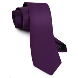 GUSLESON Brand Men's Solid Ties for Men Classic Dark Purple Tie Fashion Necktie (0791-04)