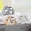 Arikyrist Crystal Golden Hippopotamus 2.8 in Figurines Gifts for Women,