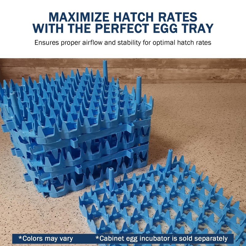 Universal Chicken Egg Trays (6 pack)