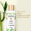 Pantene - Shampoo Nutrient Blends Volume Multiplier, con Bambú Pantenol
