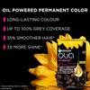 Garnier Olia 5.0 Brown Permanent Hair Dye, Up to 100%