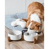 LE TAUCI LE TAUCI Dog Bowl Set with Acacia Wood