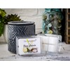 Pina Colada Maximum Scented Wax Melts- 2 oz 6 Cubes