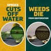 Spruce EZ-AIM Grass and Weed Killer Spray - Precision Shot