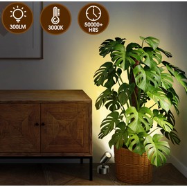 FZWLE 1 Pack Dimmable Spot Lights Indoor, Uplighting Indoor Spotlight with Timer and Remote, 3000K/4000K/5000K Adjustable LED Up Lights, Spot Lights Indoor Accent Uplighting for Plants