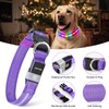 LED Dog Collar, Light Up Dog Collar, USB Rechargeable -