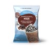 Big Train Reduced Sugar Mocha Blended Ice Coffee Beverage Mix,