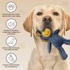 Durable Interactive Bear Dog Toy, Tough Plush Chew Toy with
