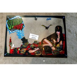 Bally Scared Stiff Pinball Machine Translite