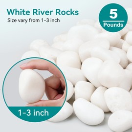 Rahato 5 lbs White Rocks for Landscaping, 1-3 inch Decorative Rocks for Plants Indoor, Large Polished River Rocks for Garden, Outdoor Landscaping, Walkways, Yard, Plants Pots, Vases, Crafts