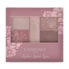 Canmake Perfect Stylist Eyes v18, Eyeshadow 18, Bitter Sweet Memory,