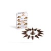 Stamford INC 37214 Egyptian Musk Incense Exotic, 15 Cones x