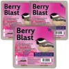 Heath Berry Blast Suet Cakes Sample Pack, Contains 3 Suet
