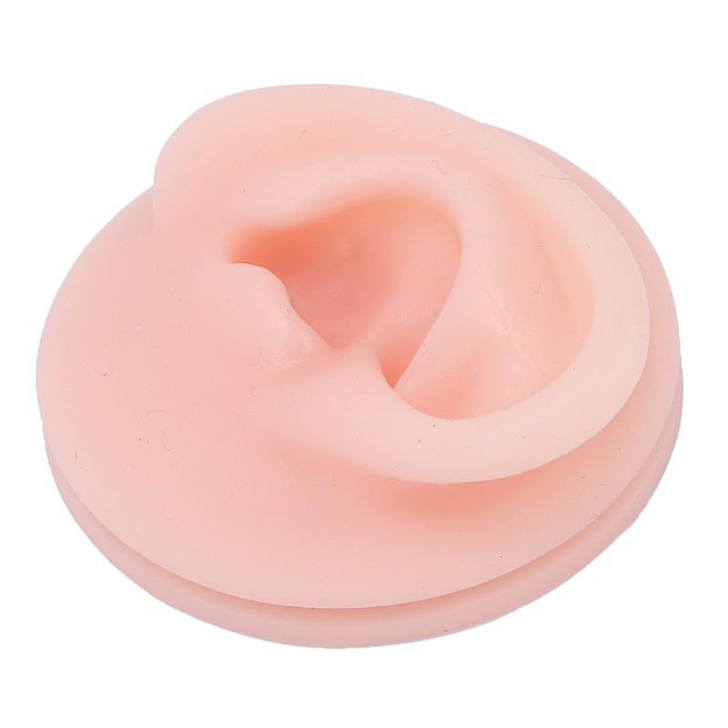 Professional Soft Silicone Ear Model Fake Ear Display Sample Ear