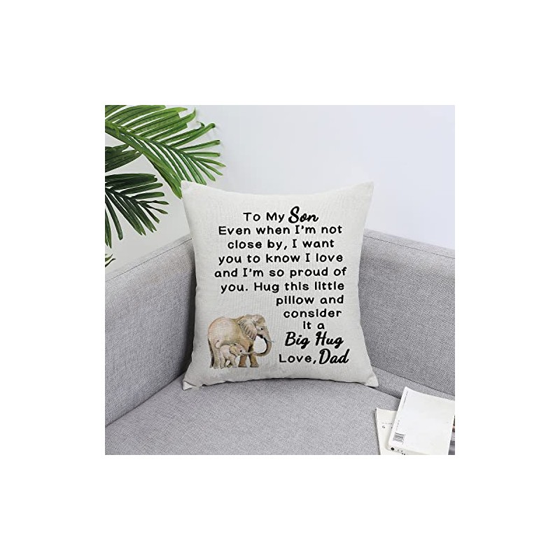 Son Throw Pillow Cover from Dad Father Graduation Gift for