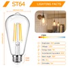 12Packs ST64 Large Vintage LED Edison Bulbs, 60W Equivalent 7W,