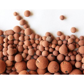 Hydro Clay Pebbles (Leca) Orchid/Hydroponic Grow Media - 10 lbs. (More Than 10 Liters) by PowerGrow Systems