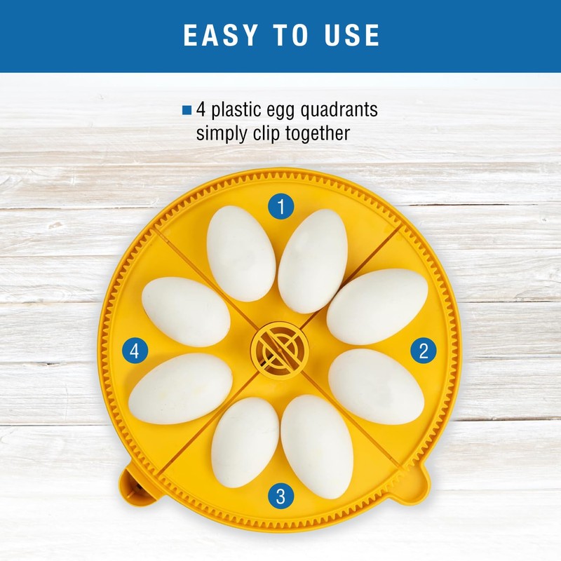 Brinsea Extra Large Egg Quadrant Insert for Maxi Advance Incubator
